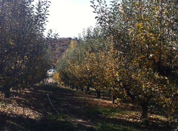 Apple Lane Orchard - Julian, CA