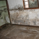 Premier Restoration and Clean Up - Water Damage Restoration