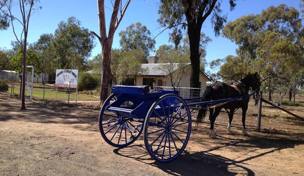 NorthWest Vets - Coonamble, NSW
