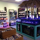 Tiki Corals - Aquariums & Aquarium Supplies