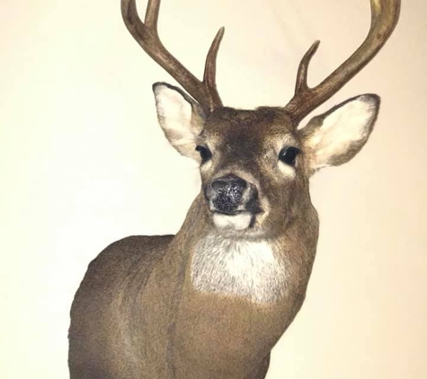 Quiles Taxidermy - Staunton, IN