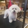 Best 30 Dog Grooming In Sidney Oh With Reviews Yp Com