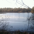 Cranberry Bog County Park