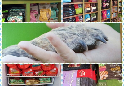 salty paws healthy pet market