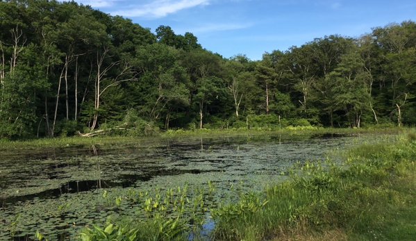 Bradley Palmer State Park - Topsfield, MA