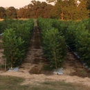 Sandy Ridge Pecans