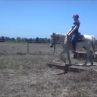 DFW Horse Training