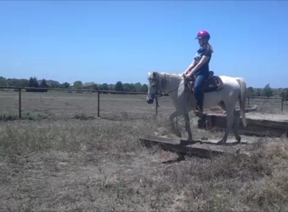 DFW Horse Training - Midlothian, TX