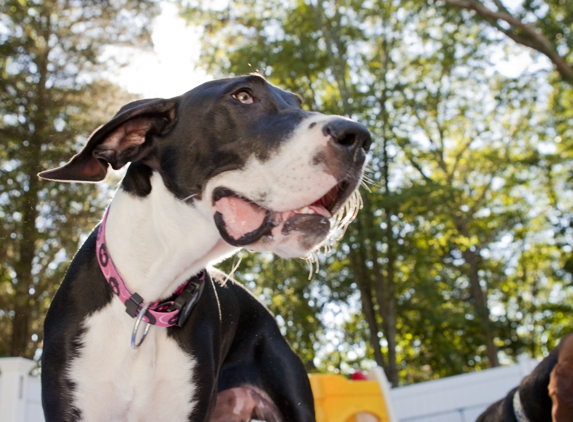 Shoreline Pet Lodge - Branford, CT