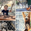 Gibbon Conservation Center - Zoos