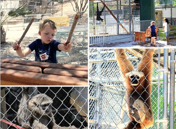 Gibbon Conservation Center - Santa Clarita, CA