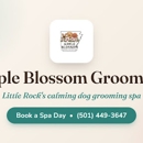 Apple Blossom Grooming and Boutique