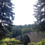 Casselman River Bridge State Park