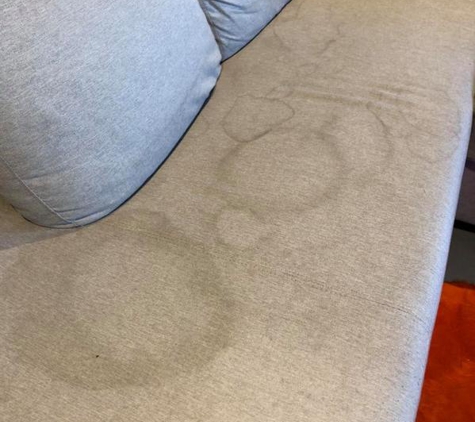 Zarz Carpet & Upholstery Cleaning - Cranbourne, VIC