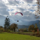 Freebird Paragliding