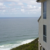 Gallery Image Number 5