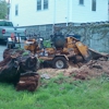 Stargardens tree stump grinding. gallery