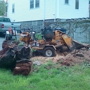 Stargardens tree stump grinding.