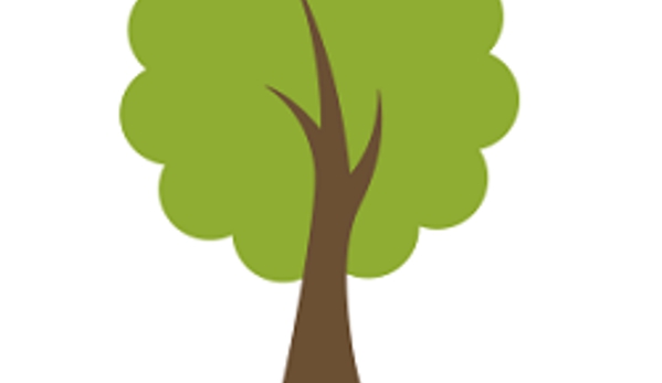 Reasonable Tree Experts - Crest Hill, IL