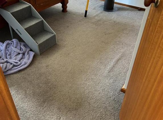 Esgee Cleaning Services - Norlane, VIC. After - years of staining removed