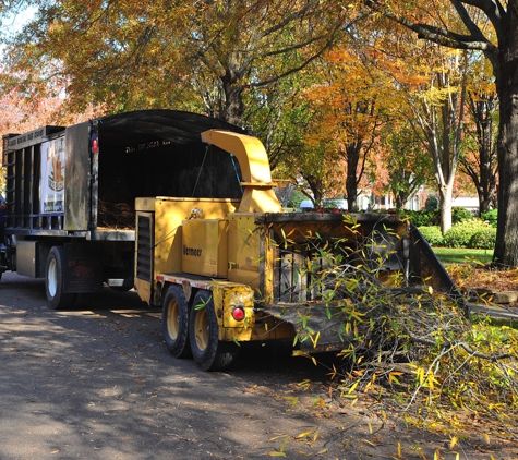 Eager Beavers Tree Service - Harvest, AL