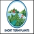 Short Term Plants - Nurseries - Retail - Plant Variety Guide-Indoor Plants