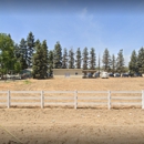 Circle N Stables & Saddle Shop Inc - Saddlery & Harness
