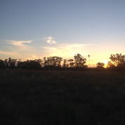 Gallery Image Number 7