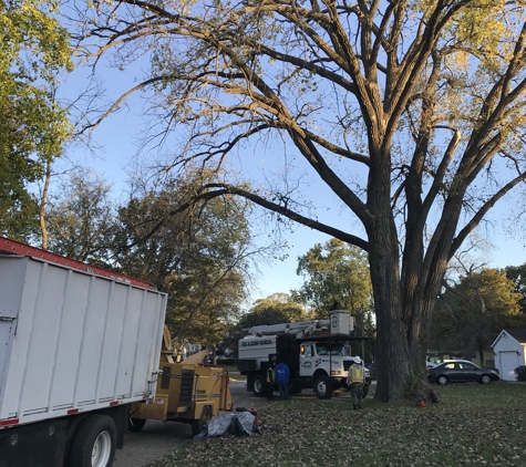 Eddy's Tree Service - Lake Villa, IL. Tree removal