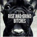 Elite Fitness