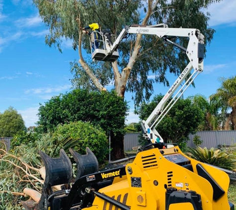 Cut Above Tree Care (Aust) Pty Ltd