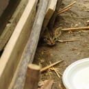 ABC Termite & Pest Control - Pest Control Equipment & Supplies
