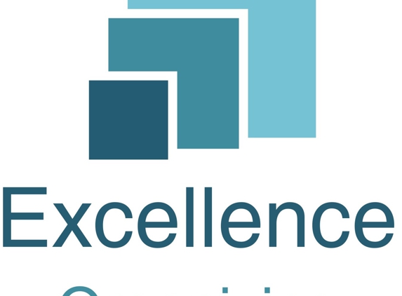 Excellence Organizing LLC - Ball Ground, GA