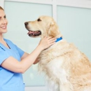 Northgate Animal Hospital - Veterinarians