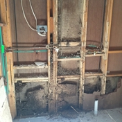 Gallery Image Number 7