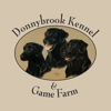 Donnybrook Kennel And Inn gallery