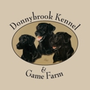 Donnybrook Kennel And Inn - Dog Training