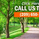 Modesto Tree Services - Tree Service