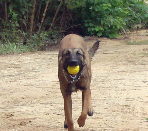 Ryan's Training Center K9 Boot Camp