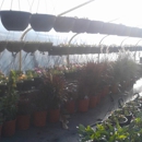 Rockwell Farms Nursery - Nursery-Wholesale & Growers