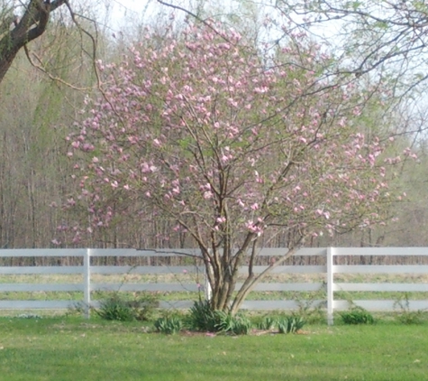 Sisson's Country Inn - Kilbourne, IL