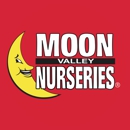 Christmas Tree Lot at Moon Valley Nurseries - Grapevine