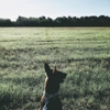 Chambers K9 Training gallery