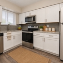 Taylor Park Apartment Homes - Furnished Apartments