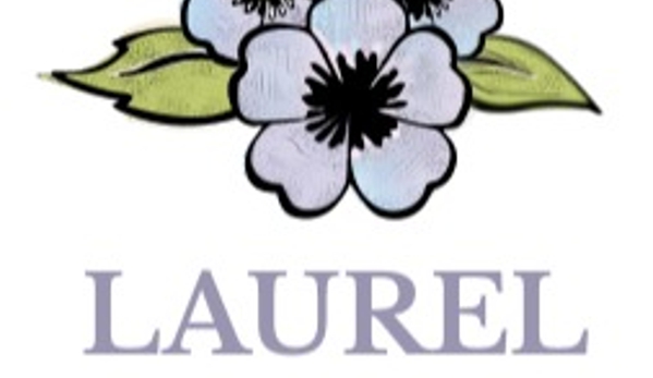 Laurel OBGYN - Asheville, NC