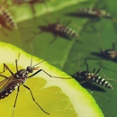 Dependable Pest Service - Pest Control Equipment & Supplies