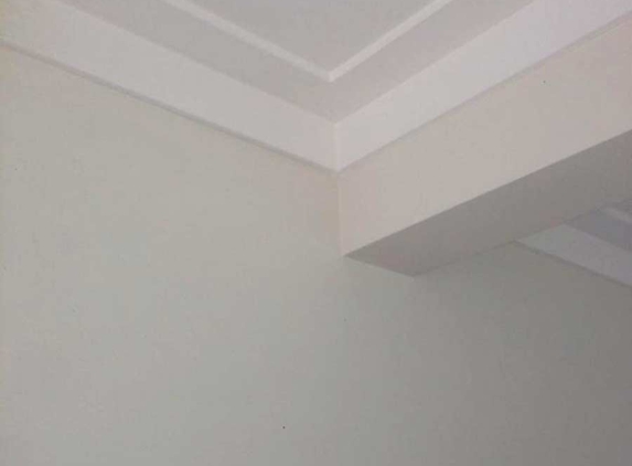 Aaron Thomas Plastering - Penguin, TAS