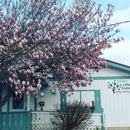 Sequim's Little Explorers Early Learning Center - Day Care Centers & Nurseries