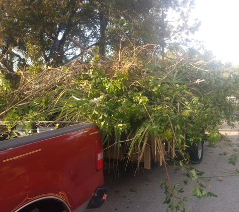 Economy Cut Lawn Care Inc. - Malabar, FL. This is what came out of LOT CLEARING����