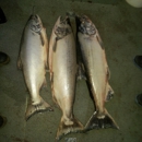 Just Rite Sport Fishing - Fishing Guides